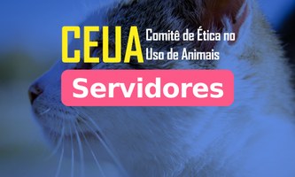 Comissão de ética seleciona servidores da Ufal para compor colegiado