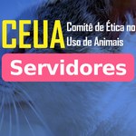 Comissão de ética seleciona servidores da Ufal para compor colegiado