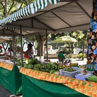 Feira orgânica da Ufal está de volta a partir desta quarta-feira