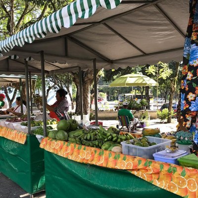 Feira agroecológica acontece amanhã, dia 30