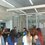 Professor da Ufal ministrou curso em universidade do Uruguai e adianta parceria
