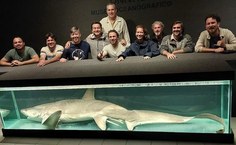 2º Ciclo do PAN Tubarões