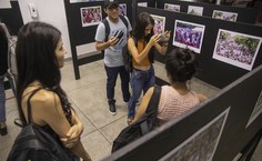 Abertura da exposição