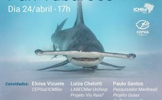 Cartaz de Lançamento