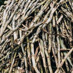 Ufal participa do 38º Simpósio da Agroindústria da Cana-de-Açúcar