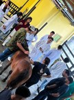 Aulas de campo na Unidade de Ensino e Hospital Veterinário Fazenda São Luiz - Ufal Viçosa/AL