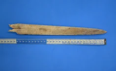 Trabalho fala sobre os fardos de borracha que surgiram ao longo da costa brasileira, em 2021, causando impactos ambientais