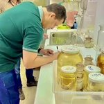 Professor da Ufal visita museus de história natural na Europa para futuras parcerias