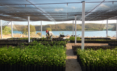 Reserva está inserida na antiga Fazenda Mato da Onça, no município de Pão de Açúcar