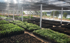 Reserva Mato da Onça é um projeto prioritário da Sociedade Canoa de Tolda