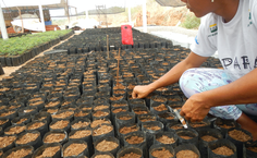 Reserva Mato da Onça tem o apoio da Ufal e do Humanitarian OpenStreetMap Team