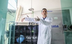 Tecnologia social desenvolvida na Ufal garante reaproveitamento de 100% do esgoto