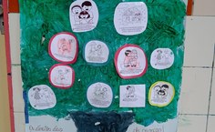 Árvore dos direitos sociais