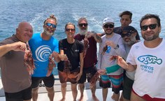 Ações vizam reduzir impactos e implementar manejo do peixe-leão