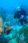 Ações vizam reduzir impactos e implementar manejo do peixe-leão