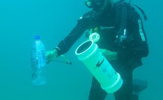 Ações vizam reduzir impactos e implementar manejo do peixe-leão