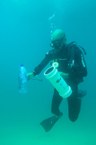 Ações vizam reduzir impactos e implementar manejo do peixe-leão