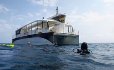 Ações vizam reduzir impactos e implementar manejo do peixe-leão