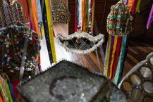 Museu Theo Brandão está parcialmente aberto para visitação da sociedade