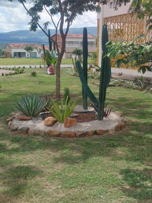 Manutenção do canteiro da Unidade Educacional de Santana do Ipanema foi realizada por MEI.