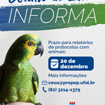 Comissão de Ética alerta sobre prazo para relatórios de protocolos com animais