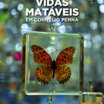 Livro de professor da Ufal analisa a obra de Cornélio Penna