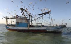 Um terço das pesquisas contempladas são da Unidade Educacional de Penedo