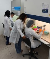 Laboratório da Ufal liderado por mulheres registra a marca de 3 patentes concedidas Laboratório da Ufal liderado por mulheres registra a marca de 3 patentes concedidas