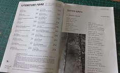 Amaro Braga desenvolveu trabalho sobre a Turma da Mônica; revista é uma das mais antigas em circulação na Europa