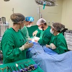 Hospital Universitário realiza novo mutirão para atendimentos
