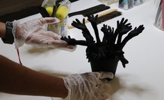 Museu universitário de artes contemporâneas realiza tratamento preventivo do acervo