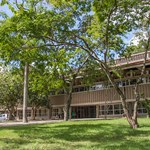 Ufal fará mutirão de poda e capinagem no Campus A.C. Simões