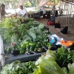 Proex avalia interesse dos servidores em produtos da agricultura familiar