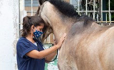 Atendimentos foram realizados por profissionais e estudantes de Veterinária, Zootecnia e Administração da Ufal