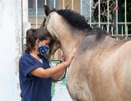 Atendimentos foram realizados por profissionais e estudantes de Veterinária, Zootecnia e Administração da Ufal