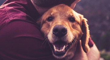 Comissão de Ética seleciona pessoas para representar sociedade protetora de animais