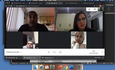 Reunião virtual do pesquisadores