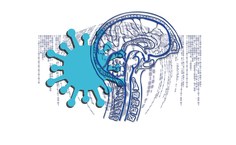 Os pesquisadores observaram os mecanismos de neuroinvasão, ou seja, as rotas de entrada do SARS-CoV-2 em neurônios (Foto_Pixabay)