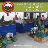 Edição de janeiro da Feira Agroecológica Novo Jardim começa nesta sexta