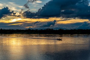 Alagoas conquista 1º lugar em chamada para pesquisas sobre o bioma amazônico