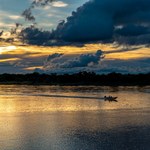 Alagoas conquista 1º lugar em chamada para pesquisas sobre o bioma amazônico