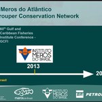 Pesquisador da Ufal integra Rede de Conservação Meros do Atlântico