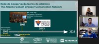 Pesquisador da Ufal integra Rede de Conservação Meros do Atlântico
