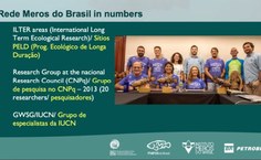 Rede Meros do Brasil