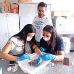 Alunos aprendem a “empalhar” peixes na unidade da Ufal em Penedo