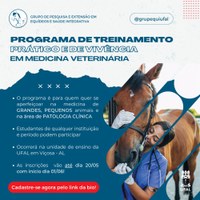 Treinamento prático em Medicina Veterinária será realizado em Viçosa