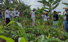 Professor José Roberto explicando sobre o sistema agroflorestal que foi implantado num lote do assentamento quinta da serra