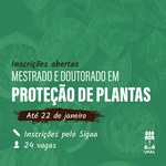 Ufal abre 24 vagas para mestrado e doutorado em Proteção de Plantas