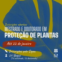 Ufal abre vagas para mestrado e doutorado em Proteção de Plantas