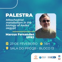 Metabolismo mitocondrial na biologia do Aedes aegypti é tema de palestra na Ufal